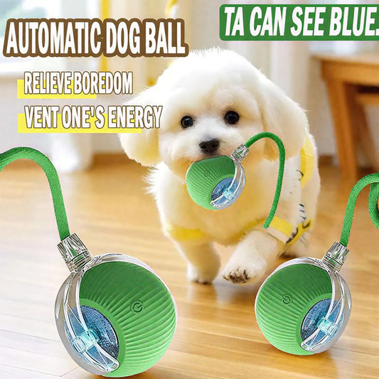 ROZINO Interactive Dog & Cat Toys 2025 Upgraded Durable USB Rechargeable Automatic Rolling Ball with Obstacle Avoidance Technology for Small Medium Large Pets